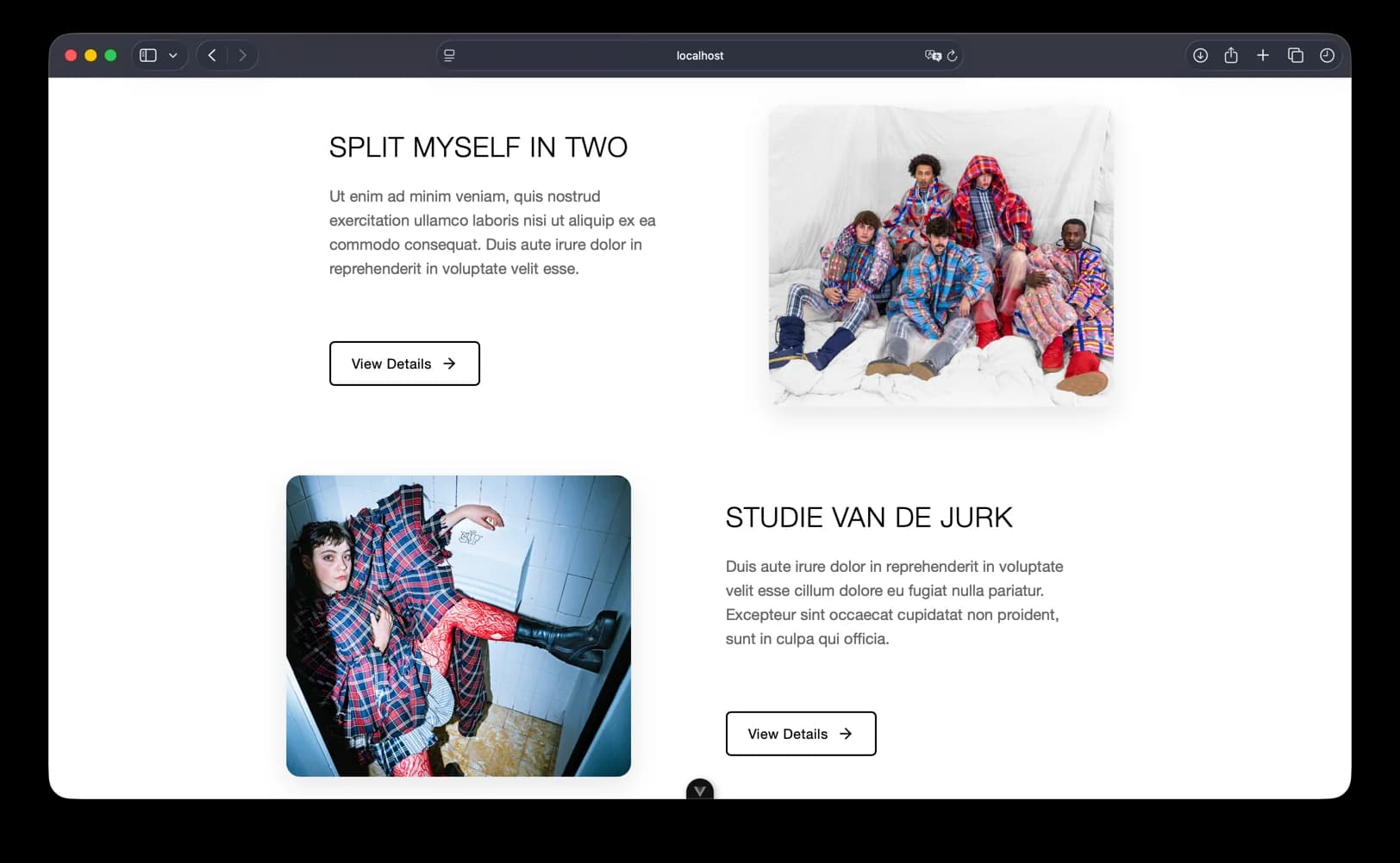 Annelies Annys Portfolio screenshot 2